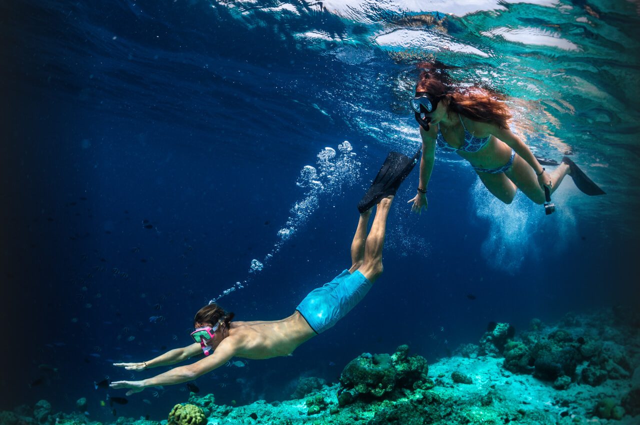 Snorkeling at Coki Beach & Coral World Gallery Image Four