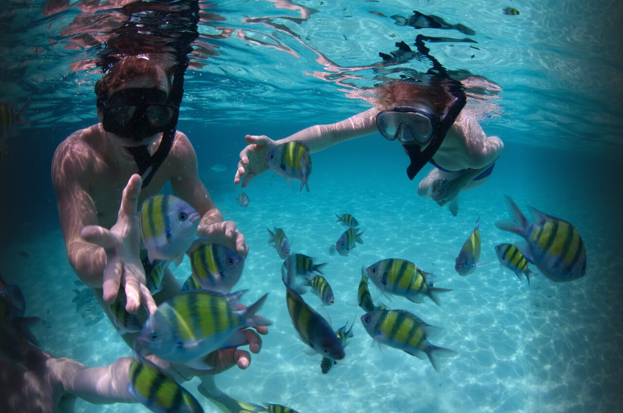Snorkeling at Coki Beach & Coral World Gallery Image Three
